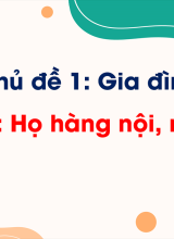 Chủ đề 1 - Bài 1. Họ hàng nội, ngoại